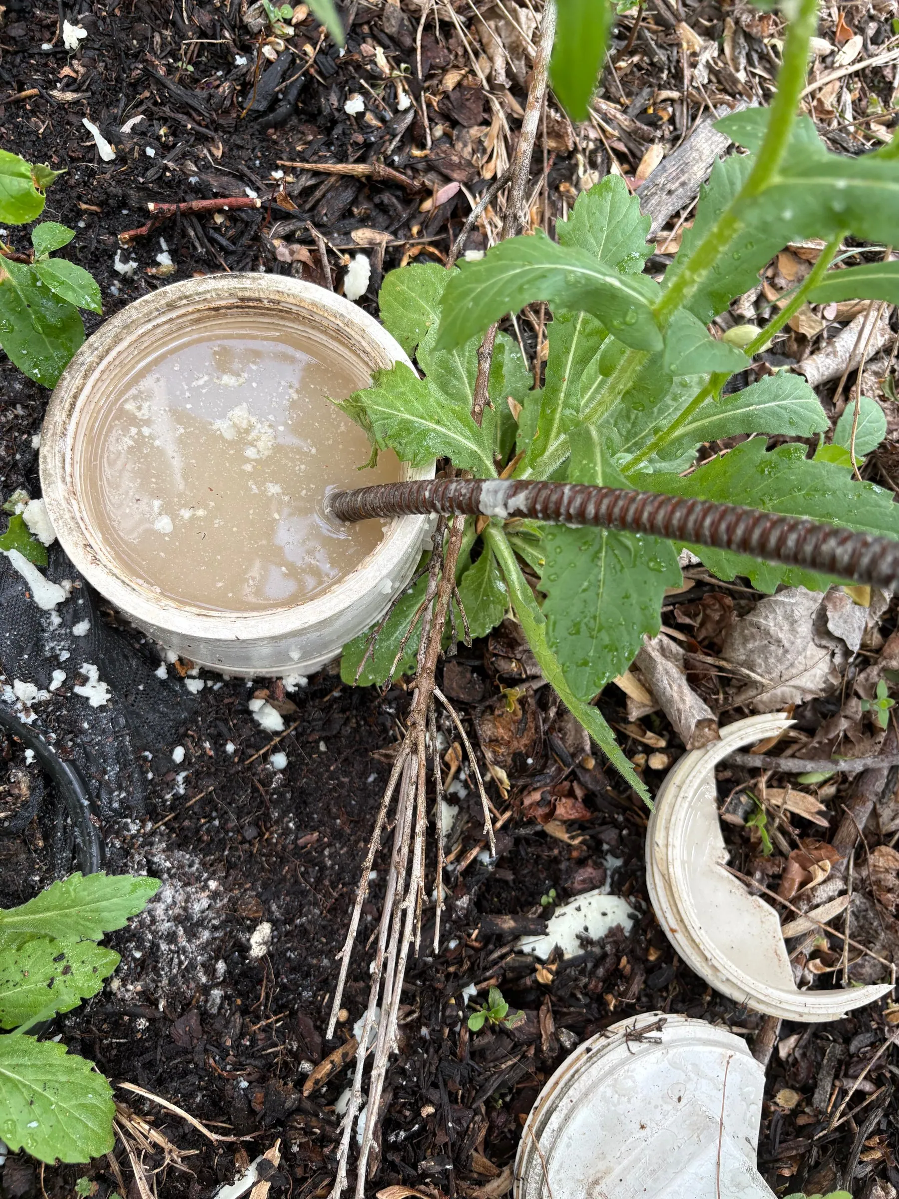 Drain Cleaning